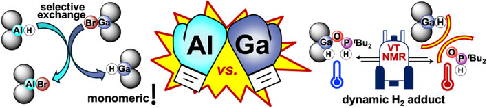 Graphical Abstract