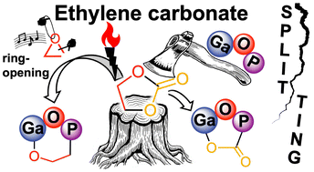 Graphical Abstract